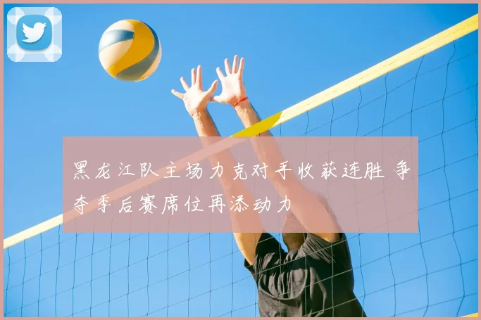 黑龙江队主场力克对手收获连胜 争夺季后赛席位再添动力