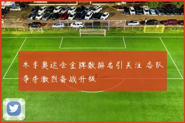 冬季奥运会金牌数排名引关注 各队争夺激烈备战升级
