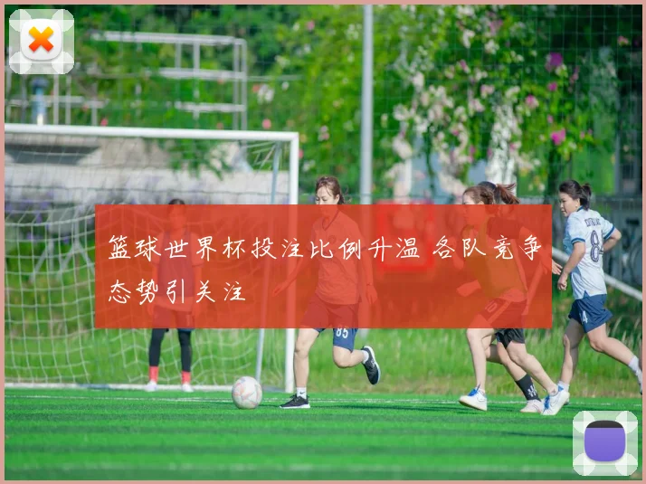 篮球世界杯投注比例升温 各队竞争态势引关注