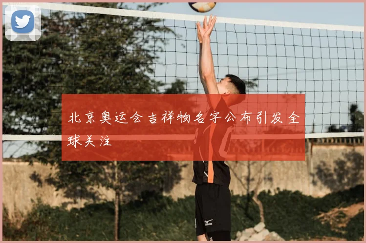北京奥运会吉祥物名字公布引发全球关注