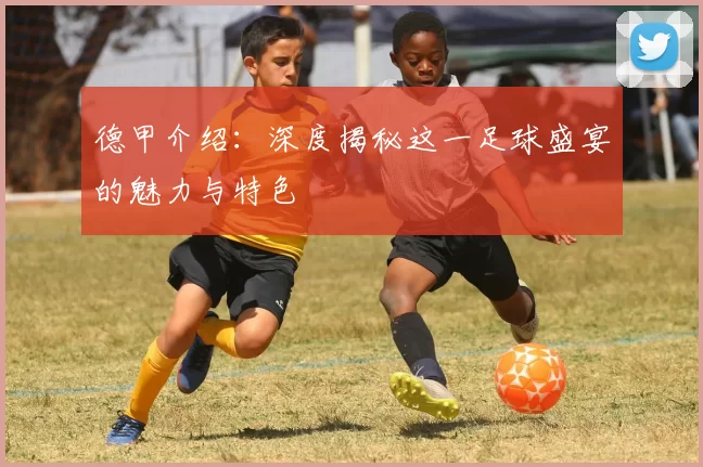 德甲介绍：深度揭秘这一足球盛宴的魅力与特色