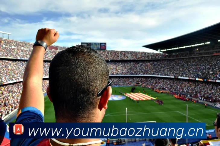 开云(中国)Kaiyun·官方网站 - 登录入口平台生态图